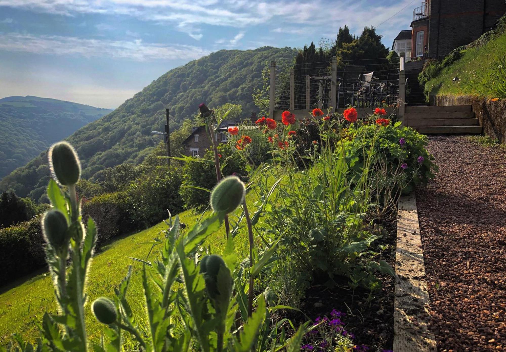 Highcliffe House Bed & Breakfast Lynton Luaran gambar